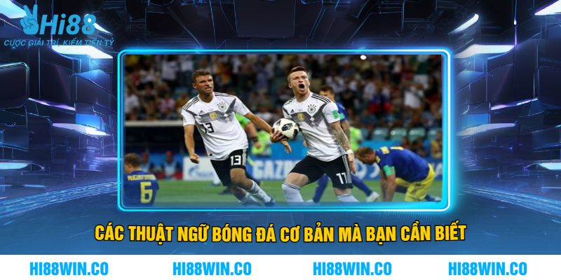 Các Thuật Ngữ Bóng Đá Cơ Bản Mà Bạn Cần Biết