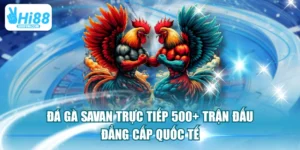  Đá Gà Savan Trực Tiếp 500+ Trận Đấu Đẳng Cấp Quốc Tế 