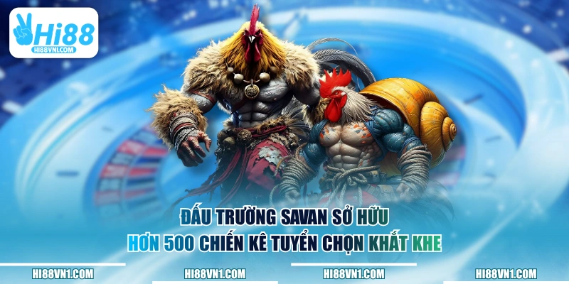 Đấu trường Savan sở hữu hơn 500 chiến kê tuyển chọn khắt khe 
